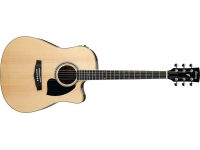 Ibanez PF15ECE-NT Ibanez PF15ECE-NT